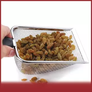 Cod thép không gỉ mèo xả rác Scoop lưới xẻng vật nuôi bò sát Cát Công cụ làm sạch