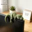 Nhíp Ngủ Tyrannosaurus Rex Màn Hình Trang Trí Cao Cấp 3D In Hình Khủng Long Để Bàn Trang Trí Văn Phòng Tại Nhà Quà Tặng Hoàn Hảo Cho Người Thu Thập Khủng Long VN