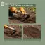 GE Manual Steel Garden Hoe Head Không Tay Cầm Chịu Lực Để Làm Vườn Bãi Cỏ Trồng Đất Và Làm Cỏ VN