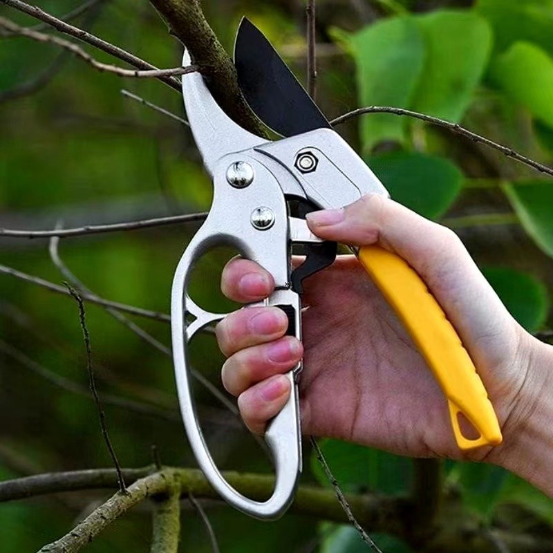 Kéo Cắt Cành Cộng Lực SK5 Lưỡi Sắc, Bản Lớn, Tỉa Cây Dễ Dàng, Phù Hợp Mọi Nhu Cầu Làm Vườn