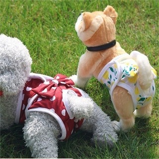 Quần sinh lý phổ biến cho chó Teddy Quần kinh nguyệt Quần dì Quần chống quấy rối Thích hợp cho chó nhỏ