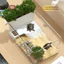 Bể Rùa AMLU, Trong Suốt Với Bể Rùa Cảnh Quan Khu Vực Basking, Bể Cá Cảnh Quan Sinh Thái Leo Núi Cho Thú Cưng Rùa Hemit Cua Nuôi Rùa