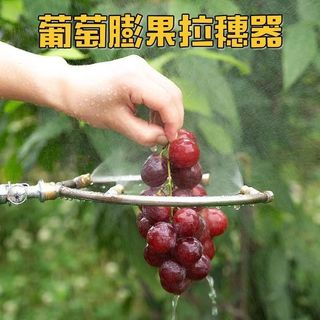 Vòi phun phun Atomizing Nông nghiệp Nho Kiwi Trái cây Mở rộng Mở vòng hoa màu đỏ Hình chữ U Mở rộng trái cây MK0Z