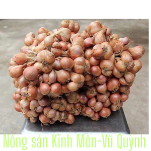 Hành ta khô Kinh Môn Hải Dương đã chọn lọc Nông sản Làng Việt