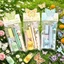 Bộ văn phòng phẩm GETVOW, Bộ văn phòng phẩm hình bướm mộng mơ 6 trong 1, Quà tặng bút Gel văn phòng phẩm hoàn chỉnh bền bỉ
