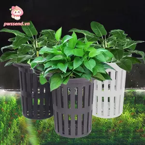 PWSEND Bể Cá Thủy Canh Giỏ Trồng, Bể Trồng Cây Nước Cảnh Quan Treo Bể Cá Giá Đỡ Cây, Trồng trọt Không Đất Giỏ Trồng Cây Bể Cá Cốc