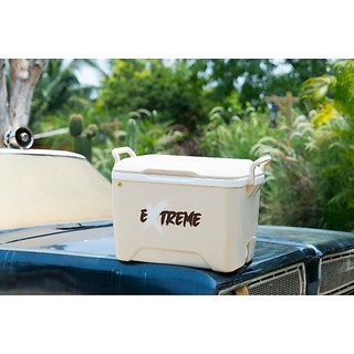 Thùng đá 45 DUY TÂN nhựa PP, công nghệ PU foam, giữ lạnh đến 24 giờ, an toàn vệ sinh thực phẩm
