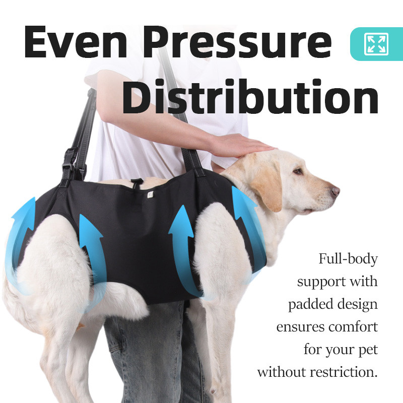 HamshMoc Dog Hỗ trợ toàn thân Dây nịt sử dụng hai chiều Hỗ trợ chân cho thú cưng cao cấp Hỗ trợ di động