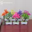GE Cây Nhân Tạo Trang Trí Chậu Cây Cảnh Cây Nhỏ Chậu Cây Giả Chậu Thiền Vườn Đồ Trang Trí Bàn Trang Trí Phòng Nhà VN