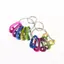 5 Cái / bộ Có Móc Khóa Chai Nước Treo Thiết Bị Cắm Trại Loại D Lò Xo Bule Bapa Bule Móc Chụp Carabiner Ngoài Trời [Mina]
