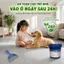 🔥Lớp phủ sàn epoxy dạng cát màu | Sơn nền tự san phẳng chịu mài mòn cho xi măng | Sơn giả đá cẩm thạch tự nhiên cao cấp