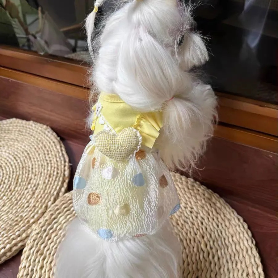 Áo nỉ thú cưng Thu Đông Phong cách mới Sức sống Quần áo chó màu vàng Teddy Bichon Cat Quần áo thường ngày
