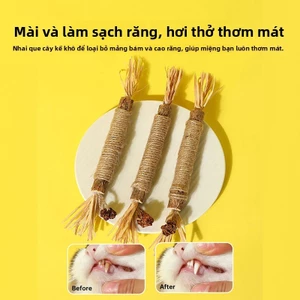 Đồ chơi cho mèo: Cây Catnip + Raffia + Quả bóng bạc hà-Giúp mèo chơi độc lập, giảm căng thẳng, làm sạch răng.