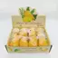 Chậm Phục Hồi Xoài Squishy Bóng Giảm Căng Thẳng Fidget Đồ Chơi Bóp Mềm Đồ Chơi Đàn Áp Cho Văn Phòng Tại Nhà Giảm Lo Âu