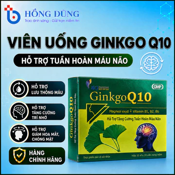 GINKGO Q10 [Hộp 100 Viên] Bổ Sung Dưỡng Chất Giúp Cải Thiện Tình Trạng Thiếu Máu Não Hiệu Quả
