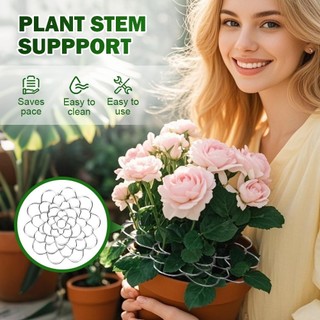 3 Chiếc Thép Không Gỉ Hoa Lưới Tổ Chức 2026 Hoa Sắp Xếp Giá Đỡ Có Thể Tái Sử Dụng Ếch Hoa Thân Giá Đỡ Cho Bình tự làm Trang Trí Nhà 3 cái thay thế ổn định bền bỉ chắc chắn phù hợp dùng cho gia đình căn hộ văn phòng và không gian nhỏ