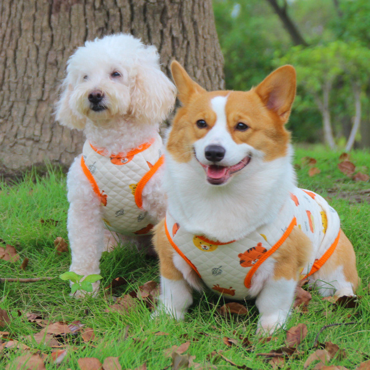Thú Cưng Thú Cưng Teddy Corgi Quần Áo Chó Thu Đông Áo Ấm Chăn Thú Cưng Loungewear Một Mảnh Lô Hàng