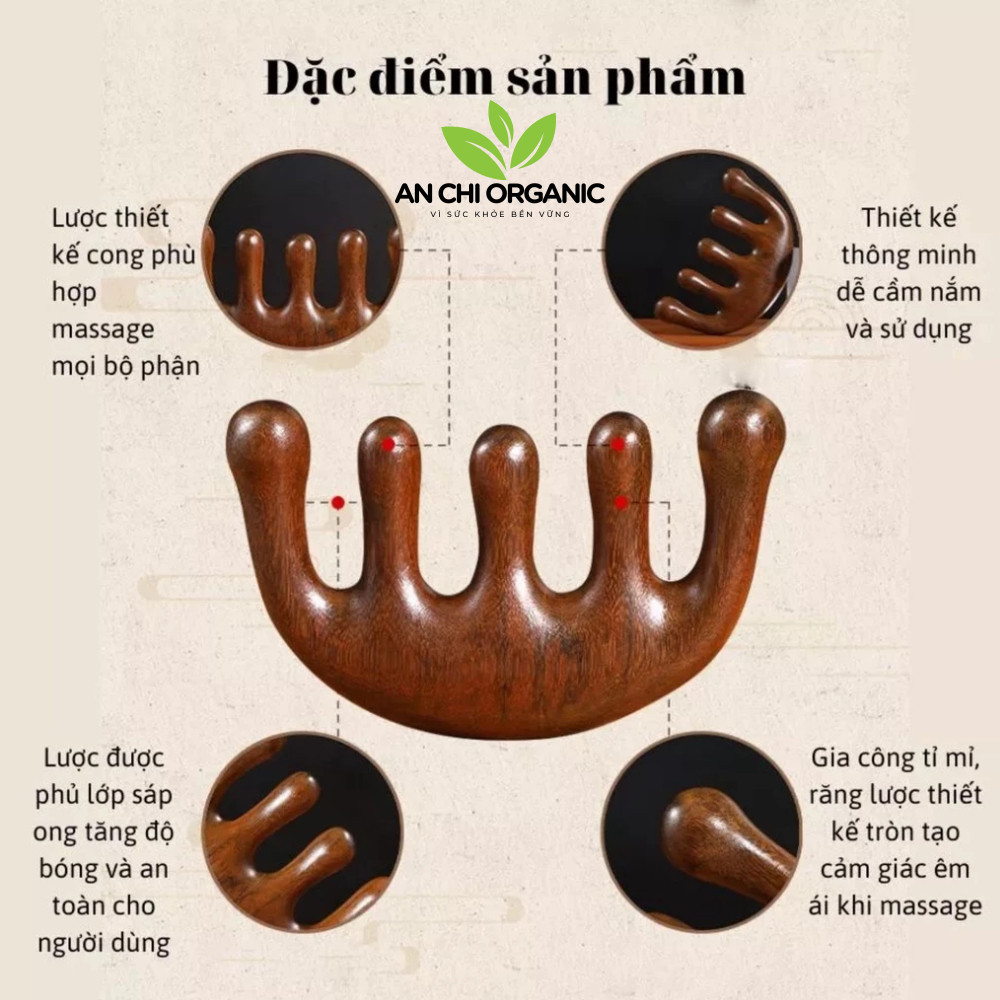 (TẶNG TÚI GẤM) Lược Gỗ Đàn Hương Massage Đầu Mặt Cổ Vai Gáy Thư Giản, Giảm Đau Mỏi Nhiều Hình Dạng An Chi Organic