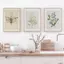 Vintage Fern Botanical Branch Olive Wildflower Poster Không Khung Tranh Canvas Cho Phòng Khách Trang Trí Nhà