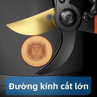 ￼Kéo làm vườn kéo cắt tỉa cành bộ dụng cụ làm vườn thực vật Máy cắt tỉa Thiết kế bỏ qua Công cụ bằng thép