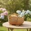 Giỏ đựng gấu Giỏ dệt nhỏ có tai Thùng đựng động vật Trang trí để bàn Sắp xếp lâu trôi cho học sinh, bàn làm việc