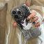 Sang Trọng Truyện Tranh Mã Geass Trong Suốt Dành Cho Motorola Moto G22 G53 G32 G52 G30 Edge 40 Pro G71 G72 G73 G60 G9 Play Cover TPU Chống Sốc Silicon Mềm Vuông Trong Suốt