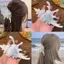 BeautifulHomeA Ocean Conch Kẹp Tóc Cua Biển Vỏ Hàn Quốc Lớn Vuốt Tóc Kẹp Tóc Thời Trang Hairgrips Dành Cho Nữ Bé Gái Phụ Kiện Tóc Đuôi Ngựa VN