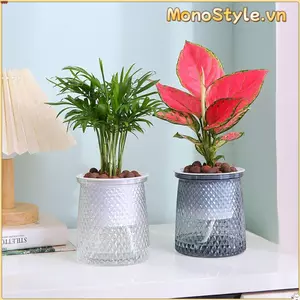 Chậu cây MONOSTYLE, Chậu hoa tự tưới nước bằng nhựa, Nước có thể nhìn thấy Đồ dùng làm vườn Chậu trồng nước