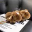 PNPIA- Rex Lông Thỏ Cung Hoàng Đạo Ngựa Móc Khóa Sang Trọng Đồ Chơi Kawaii Pony Túi Búp Bê Mặt Dây Chuyền Trang Trí Bapa Treo Quà Tặng Năm Mới