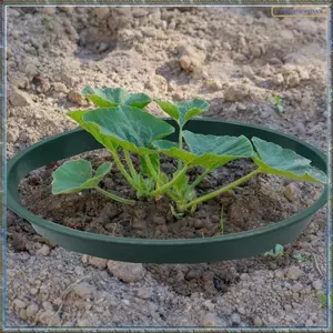 Vòng tưới nước sâu Vòng trồng cây 6 gói, Hỗ trợ cây tròn 8,6 Inch Bảo vệ & nạo vét vườn cho rau củ