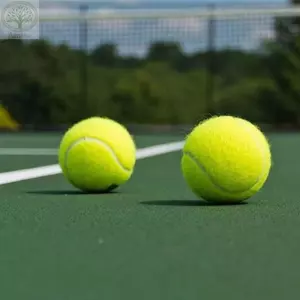 Bóng Tennis AMBU, Bóng chơi thú cưng không độc hại bền bỉ, Bóng tập luyện đàn hồi ngoài trời