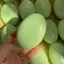 DELMER Squishy Đồ Chơi Phô Mai, Mô Phỏng Bánh Mì Squishy Tăng Chậm, Trẻ Em Chống Lo Âu Tay Thư Giãn Pinch Cảm Giác Fidget Bánh Trẻ Em