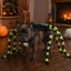 Thai| Khóa buộc Trang phục thú cưng, Thiết kế nhện với chân có thể uốn cong, Trang phục Halloween bằng vải Polyester mềm cho lễ kỷ niệm thân thiện với thú cưng