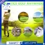Hỗ trợ huấn luyện viên gậy golf - Hỗ trợ huấn luyện gậy golf cho sự linh hoạt, Tempo và sức mạnh Gậy chơi gôn khởi động