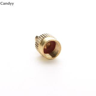 NDY 10 Chiếc Xe Chrome Kim Loại Có Rãnh Nắp Thân Van Có Dụng Cụ Tẩy N
