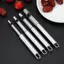 Bigapple Fruit Corer Dụng cụ gia đình bằng thép không gỉ cho quả lê đỏ, tiện ích nhà bếp mát mẻ RDG