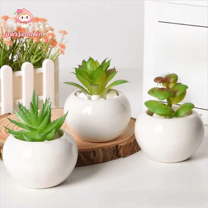 PWSEND 6 Cái Chậu trồng cây, Chậu hoa mọng nước Mini màu trắng, Lỗ thoát nước hình tròn Chậu gốm đơn giản Trang trí nhà cửa