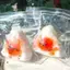 Sáng Tạo Onigiri Fidget Bóp Đồ Chơi Mềm Tăng Chậm Giảm Căng Thẳng Cảm Giác Cho Văn Phòng Tại Nhà Thư Giãn Hàng Ngày