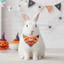 QEARY Thú Cưng Halloween Bandana, Vải Polyester Họa Tiết Ma Chó Tam Giác Yếm, Lễ Hội Chó Con Cổ Hai Mặt Hình Tam Giác Nhẹ Mèo Nước Bọt Khăn Quần Áo Cho Chó