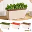 Nồi trồng rau củ CHEESELY, Chậu hoa hình chữ nhật hai lớp, Hộp trồng hoa trong nhà đa chức năng Chậu cây tự tưới cây