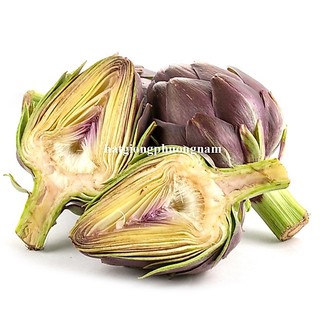 10 Hạt - Hạt Giống Atiso / Astiso  Tím Phương Nam