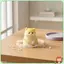 Mô Phỏng Mèo Đồ Chơi Giảm Căng Thẳng Mềm Floo Bề Mặt Dễ Thương Bóp Squishy Đồ Chơi Dành Cho Người Lớn Văn Phòng Làm Việc Đàn Áp