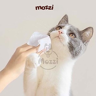 Khăn ướt cho chó mèo Kháng khuẩn trắng  Absorb Antibacterial Absolute