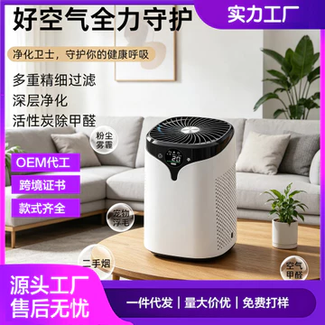 Máy lọc không khí để bàn ion âm xuyên biên giới Máy khử mùi và khử trùng khử mùi hôi, loại bỏ lông và khử mùi formaldehy