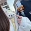 Móc khóa sang trọng hình gấu dễ thương cho ba lô, Trang trí dây an toàn ô tô, Phụ kiện mặt dây chuyền động vật mềm mại