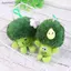 SSVN Rau Củ Cải Dễ Thương Sang Trọng Búp Bê Nhồi Bông Cauliflower Mềm Mại Sang Trọng Đồ Chơi Cặp Đôi Móc Khóa Túi Mặt Dây Chuyền Quà Tặng Trẻ Em.