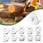 <cosyh>Bar Nuts OD 19mm 1.25cm Thread Pitch 361 440 660 Chainsaw Parts Fit For Stihl
