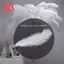10 miếng đà điểu tự nhiên màu trắng 20-25cm đám cưới DIY