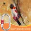 Khóa Carabiner hạng nặng 2 chiếc, Xếp hạng 25kN Hình bầu dục để đẩy nhanh, Kẹp võng