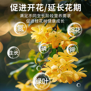 Osmanthus Phân bón Đặc biệt Các hạt Làm chậm Loại hữu cơ Phân bón Chậu Bên Vườn rau Bốn Mùa Đa Năng Rễ Cây Giống Mạnh Thời Kỳ 25.10.14
